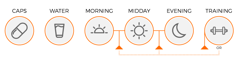 Usage diagram of Carn Pro