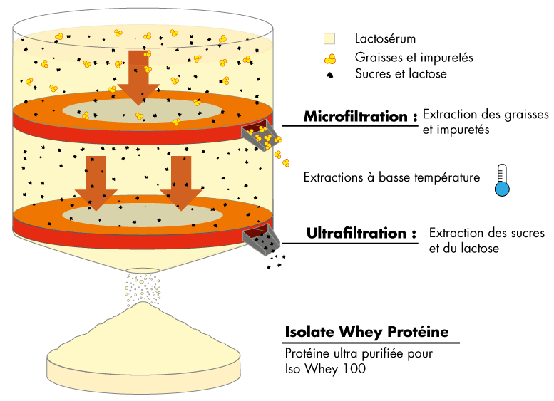 extraction iso whey