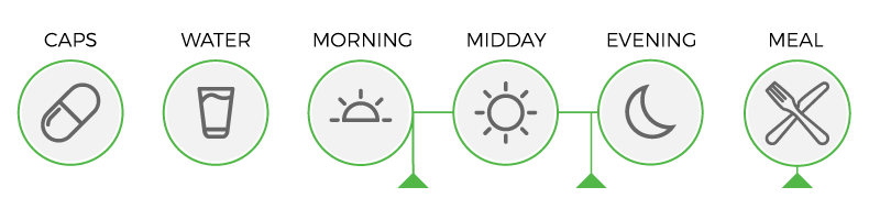 Usage diagram of Ico Steo