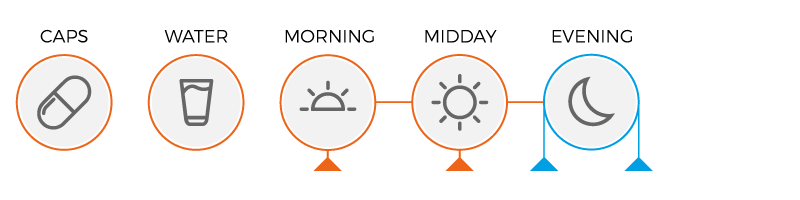 Usage diagram of Rip Cut 24