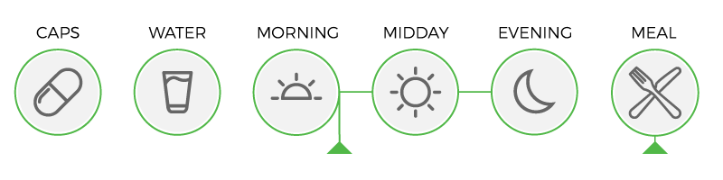 Usage diagram of Vit Min