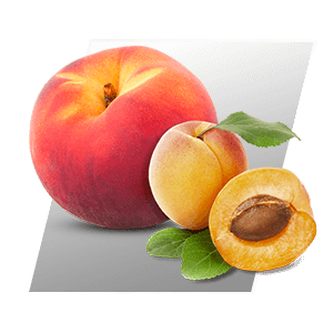 Peach Apricot Flavor - First Iron Systems
